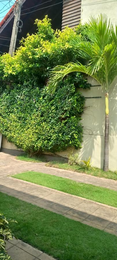Ocean View Tourist Guest House At Negombo Beach Near The Airport Zewnętrze zdjęcie