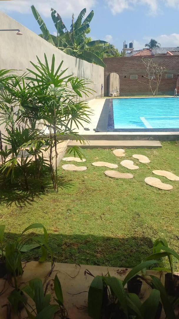 Ocean View Tourist Guest House At Negombo Beach Near The Airport Zewnętrze zdjęcie